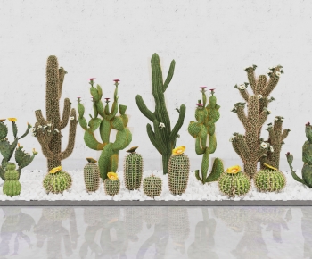 Modern Plant Landscaping-ID:425649884