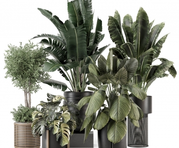 Modern Ground Green Plant Potted Plants-ID:893867976