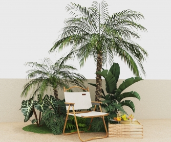 Modern Plant-ID:502538922