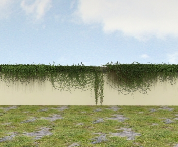 Modern Vine-ID:917716982