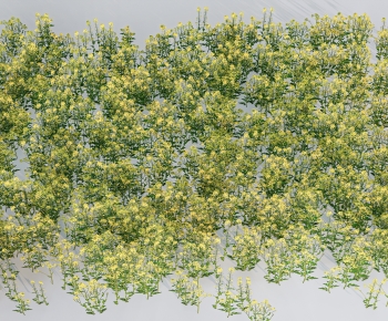 Modern Crop-ID:712371119