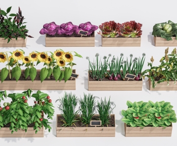 Modern Crop-ID:626367097