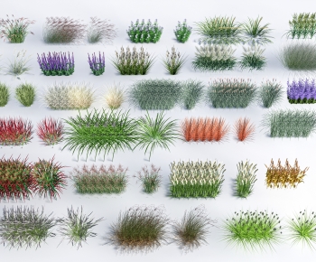 Modern The Grass-ID:568216093