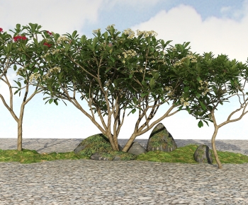 Modern Tree-ID:948204994