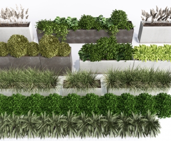 Modern Flower Bed, Flower Bowl, Flower Box-ID:489075908