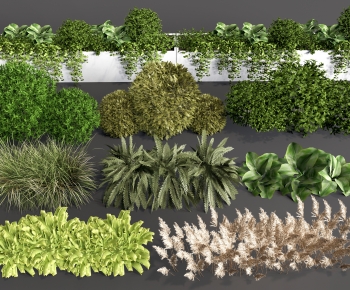 Modern Shrubbery-ID:184775119