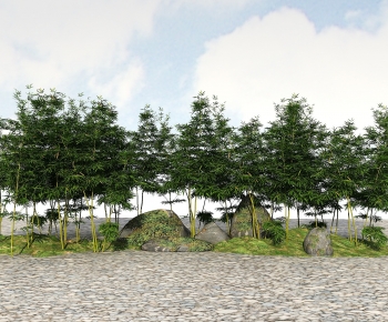 Modern Bamboo-ID:569773914