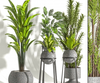Modern Ground Green Plant Potted Plants-ID:634984026