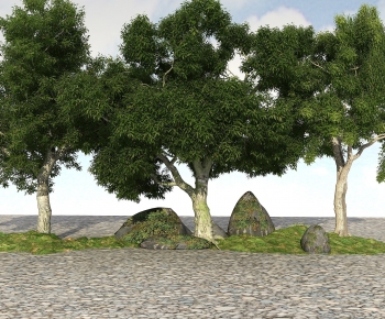 Modern Tree-ID:503216984