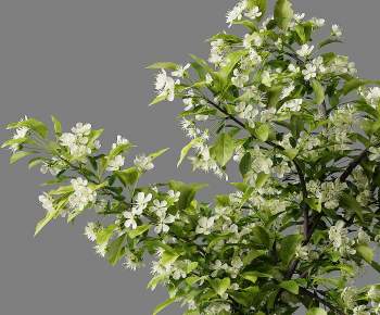 Modern Aquatic Green Plant-ID:779457093