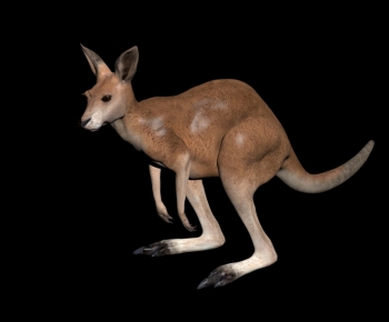 Modern Mammal-ID:840105067