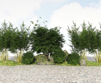 Modern Bamboo-ID:867819076