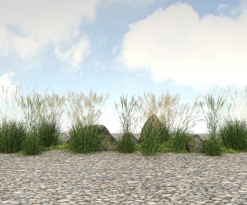 Modern The Grass-ID:971169511