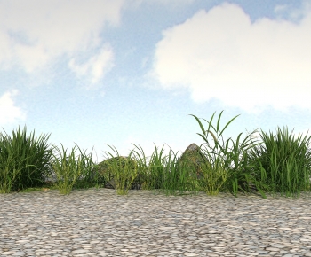 Modern The Grass-ID:779469026