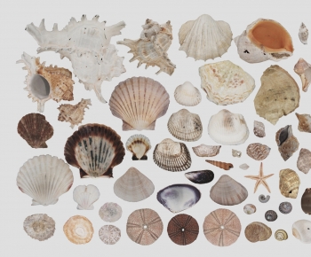 Modern Aquatic Animals-ID:359400998