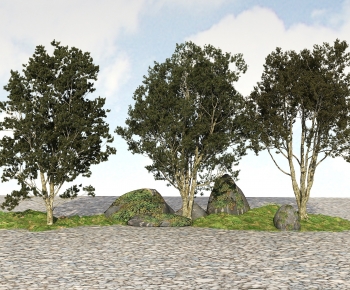 Modern Tree-ID:440176013