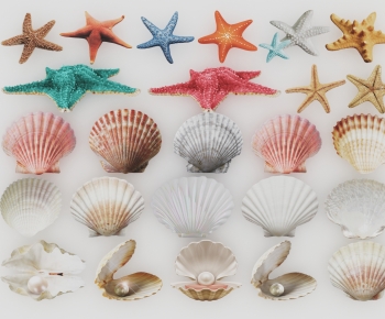 Modern Aquatic Animals-ID:600457913