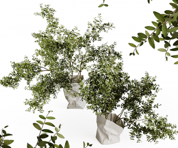 Modern Aquatic Green Plant-ID:284450051