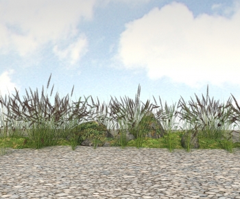 Modern The Grass-ID:768604994