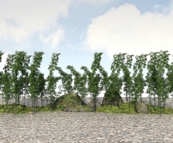 Modern Bamboo-ID:129467961