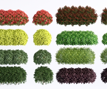 Modern Shrubbery-ID:214971073