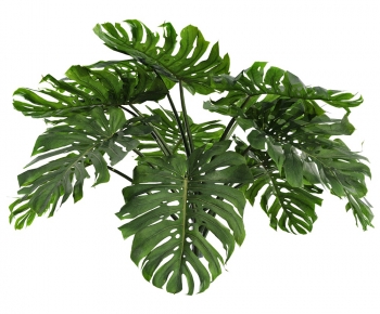 Modern Shrubbery-ID:578702935