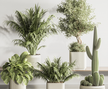 现代落地绿植盆栽组合-ID:299906971