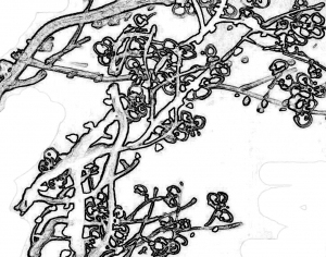 ModernOther Wallpapers