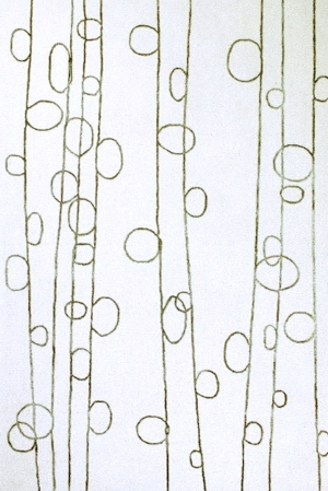 European StyleEuropean Carpet