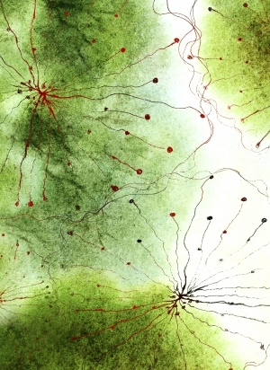 European StyleEuropean Carpet