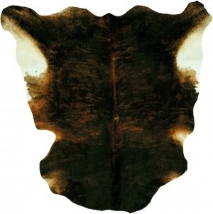 European StyleEuropean Carpet