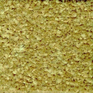 ModernModern Rug
