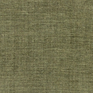 ModernModern Rug