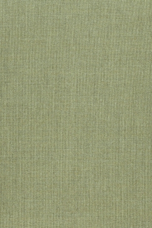 ModernOther Fabrics