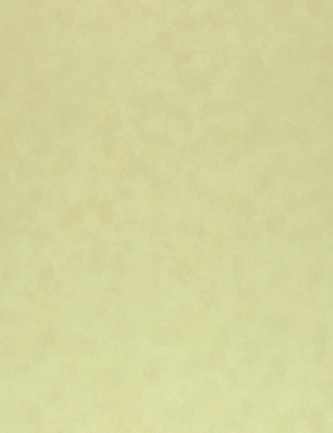 布纹布料-ID:548639398