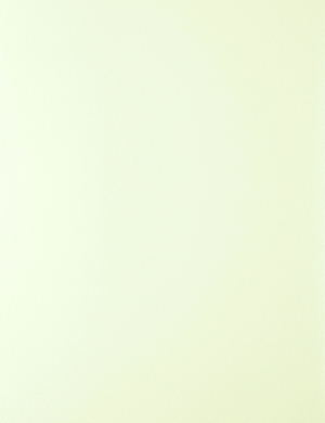 布纹布料-ID:198642022
