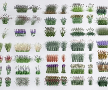 Modern The Grass-ID:192943103