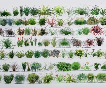 Modern The Grass-ID:982237101