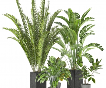Modern Ground Green Plant Potted Plants-ID:200608976