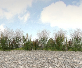 Modern The Grass-ID:507011895