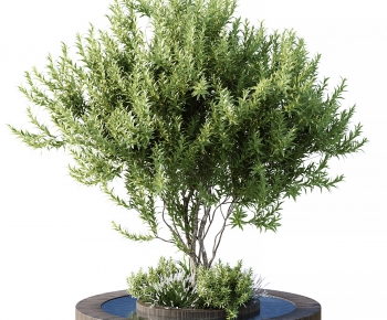 Modern Tree Pool-ID:260466106