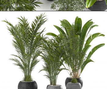 Modern Ground Green Plant Potted Plants-ID:786004074