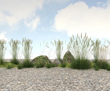 Modern The Grass-ID:982129109