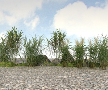 Modern The Grass-ID:898124932