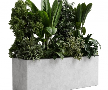 Modern Flower Bed, Flower Bowl, Flower Box-ID:630137929