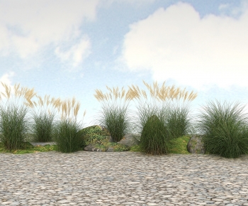 Modern The Grass-ID:796236048