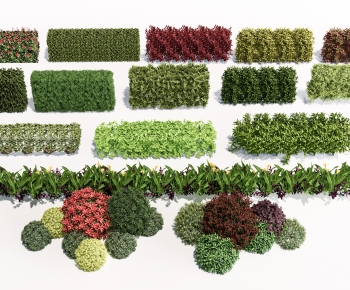 Modern Shrubbery-ID:495270977