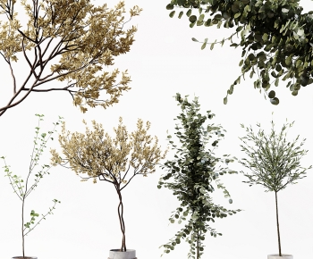 Modern Ground Green Plant Potted Plants-ID:775226126