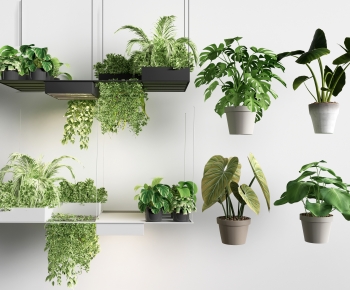 现代吊兰绿植盆栽组合-ID:535101895