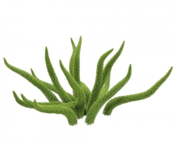 Modern Plant-ID:676409011